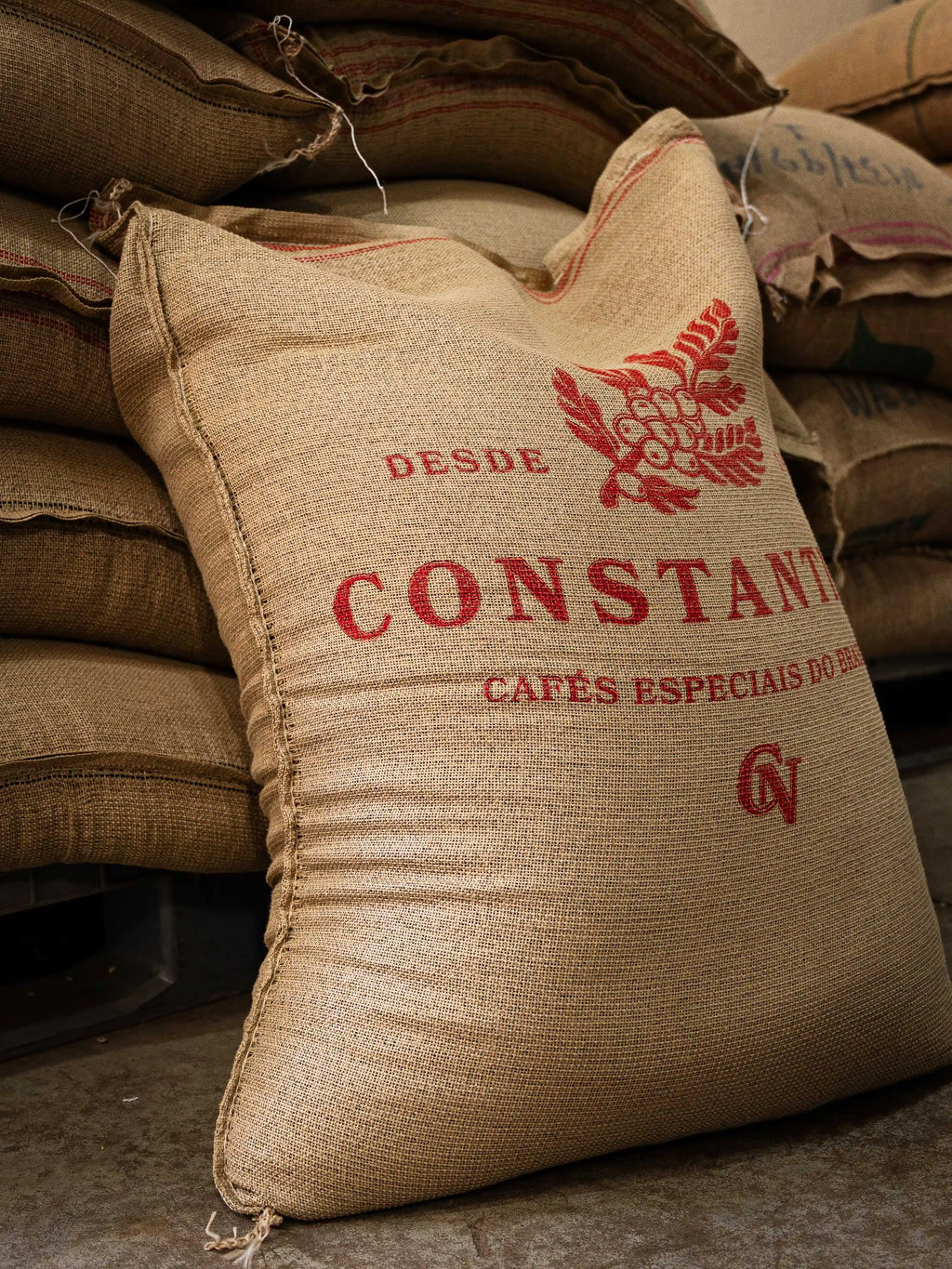 コンスタンチーノコーヒー 250g 中煎り【豆のまま】