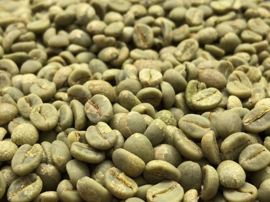 Fazenda Chapadão レッドカトゥアイ ナチュラルの生豆